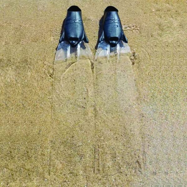 GHOST FINS 1